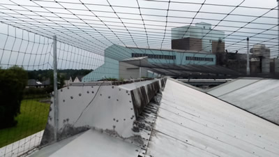 Birdproofing